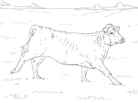 Running Cow Coloring Page